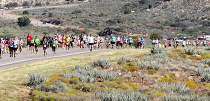 Potential Harm to Scenery and Tourism