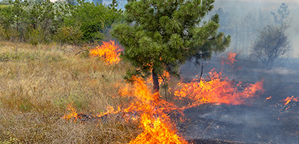 Fire/Explosion Hazards