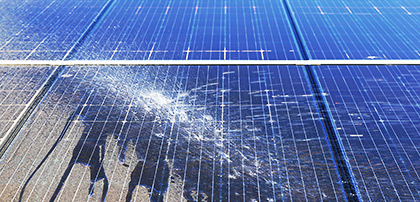 *Environmental Effects of Solar Farms